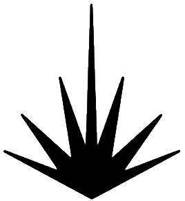YUCCA